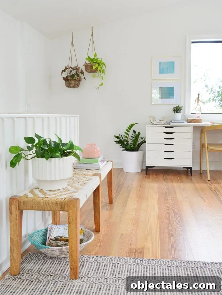Several Plants On Surfaces In Living Room Including Hanging