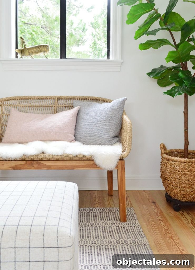Front View Of Woven Bench With Fluffy Base Pillows And Fig Tree