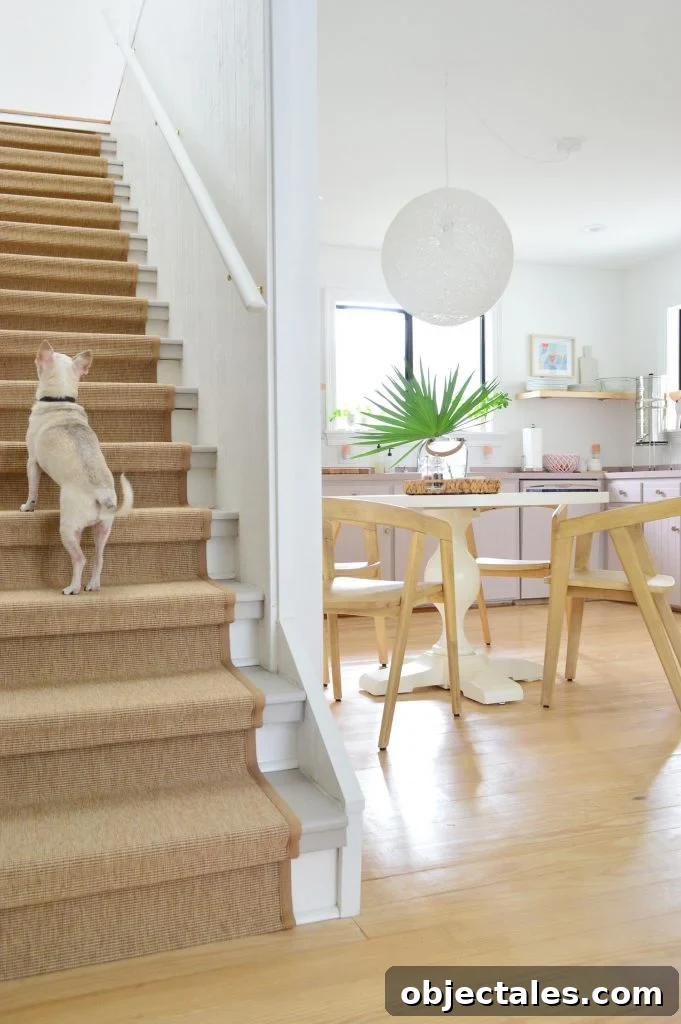 Chihuahua Walking Up Sisal Stair Runner With Kitchen In Background