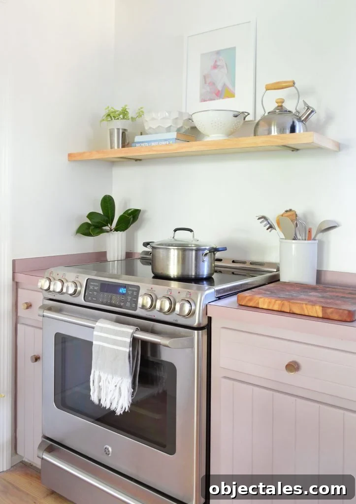 Six Months In: Our Kitchen and Sitting Area 3 Stainless steel electric stove with mauve cabinets and floating wood shelf