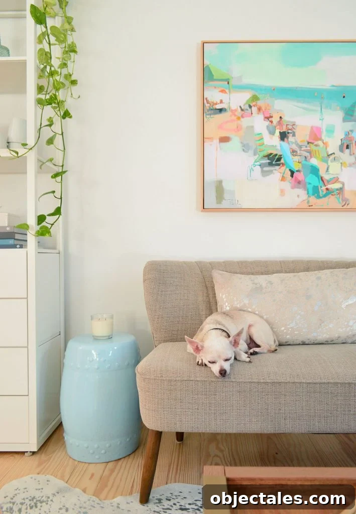 Chihuahua sleeping on settee in kitchen