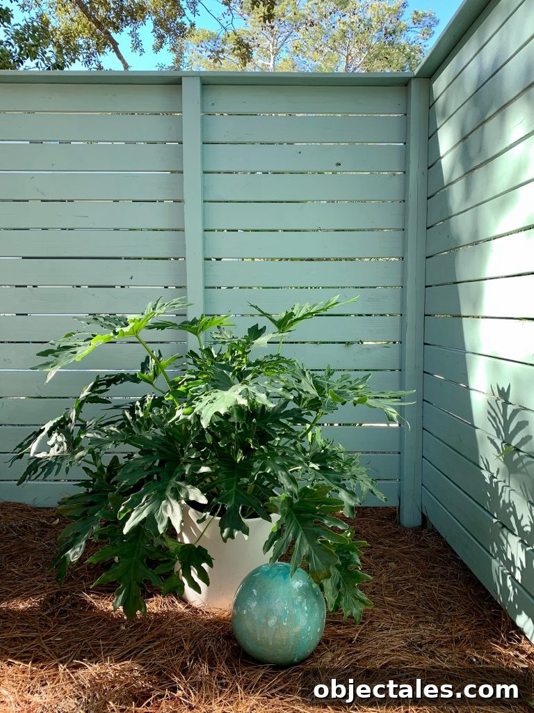 Create a Cozy Fire Pit Area for Outdoor Gatherings 15 Large potted plant in the corner of side yard fence along with patina green gazing ball