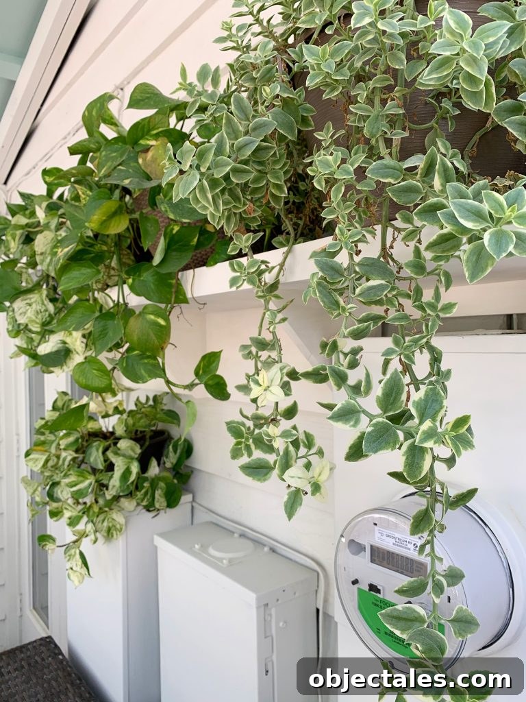 Hide Unsightly Utility Boxes with a DIY Shelf 8 Close Up Of Plant Shelf With Greenery Draping Down To Cover Electrical Panel Boxes