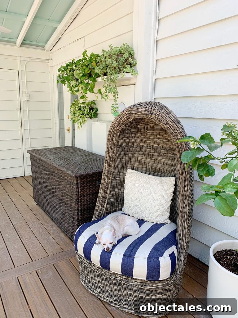 Hide Unsightly Utility Boxes with a DIY Shelf 9 View Of Outdoor Porch With Egg Chair In Foreground And Plant Shelf In Background