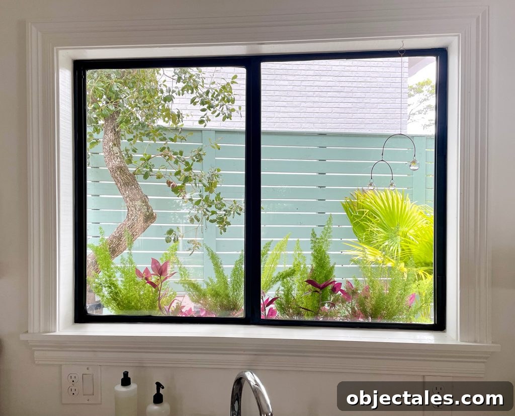 View Through Kitchen Window With Window Box And Tropical Plants