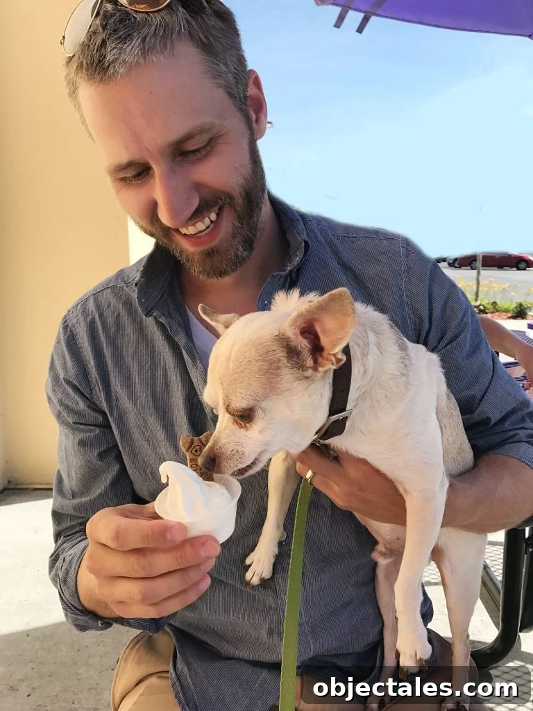 Tribute to the Burger: History, Styles, and Recipes 9 Burger licking ice cream pup cup in John's arms