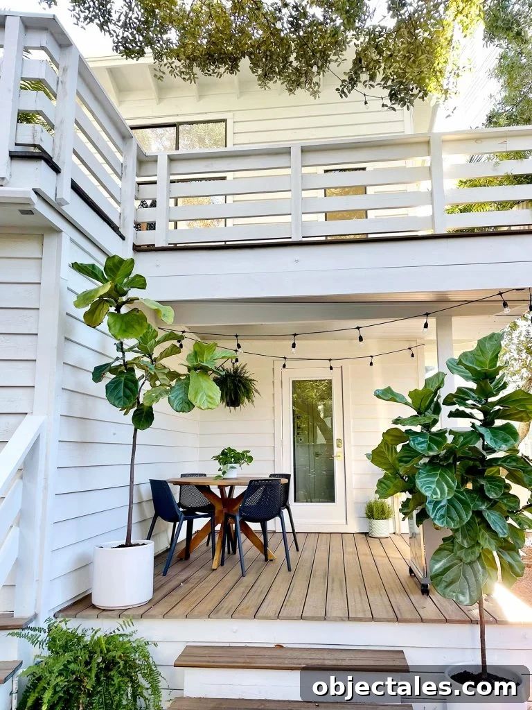After photo from same view with white house string lights and fig trees
