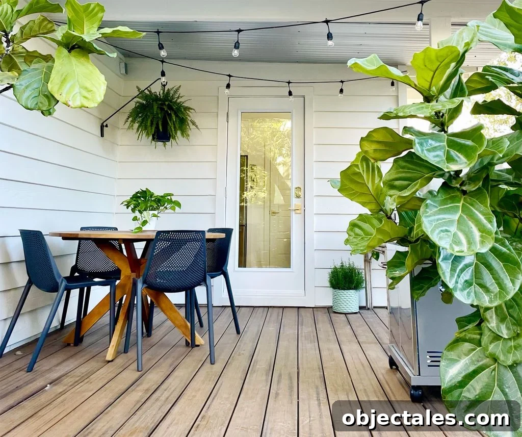 Covered kitchen porch with round dining table string lights hanging fern and grill